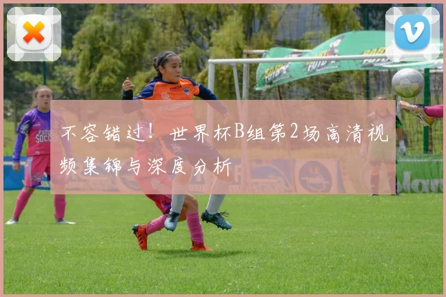 不容错过！世界杯B组第2场高清视频集锦与深度分析