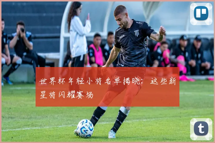世界杯年轻小将名单揭晓:这些新星将闪耀赛场
