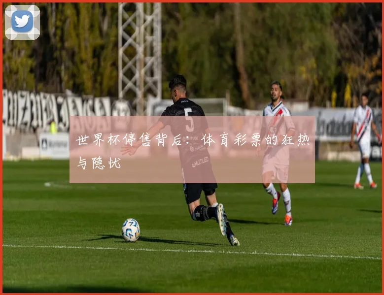 世界杯停售背后:体育彩票的狂热与隐忧