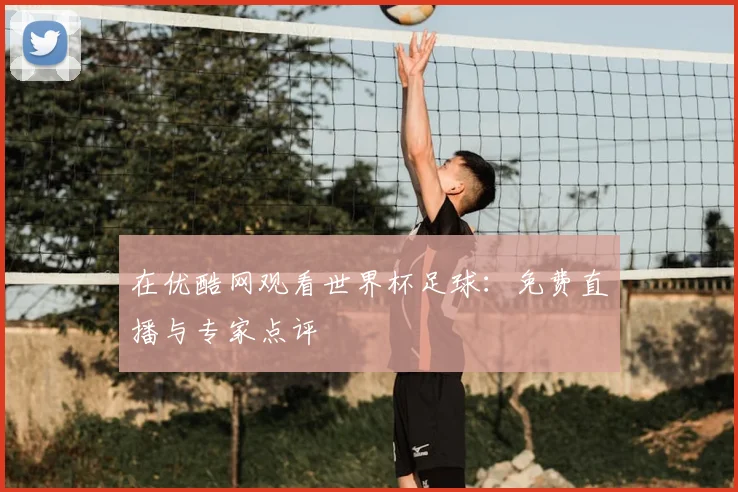 在优酷网观看世界杯足球：免费直播与专家点评